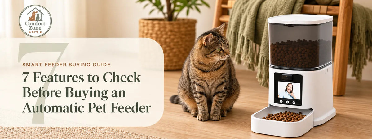 Tabby cat beside a 5L automatic pet feeder with camera and a headline about seven features to check before buying.