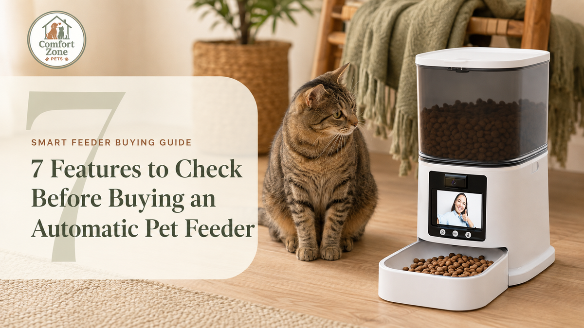 Tabby cat beside a 5L automatic pet feeder with camera and a headline about seven features to check before buying.