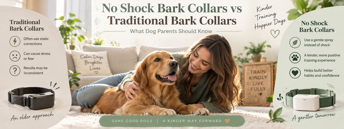 No shock bark collar vs traditional bark collars comparison showing gentle dog training approaches and comfortable solutions for pet parents.