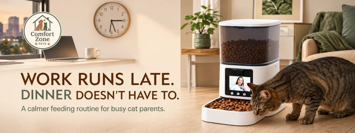 How to Keep Your Cat’s Feeding Schedule Consistent While You’re at Work