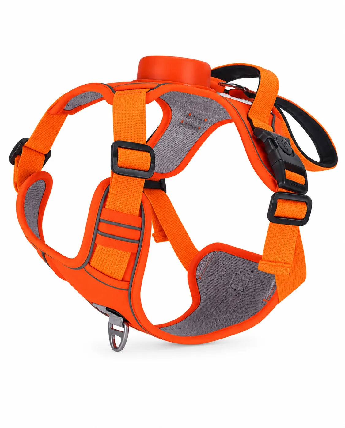 Retractable Dog Leash Harness | All-in-One & Reflective