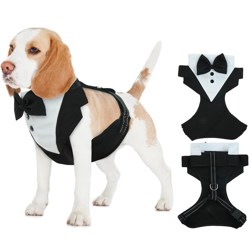 Beagle wearing black and white tuxedo-style dog harness with bow tie