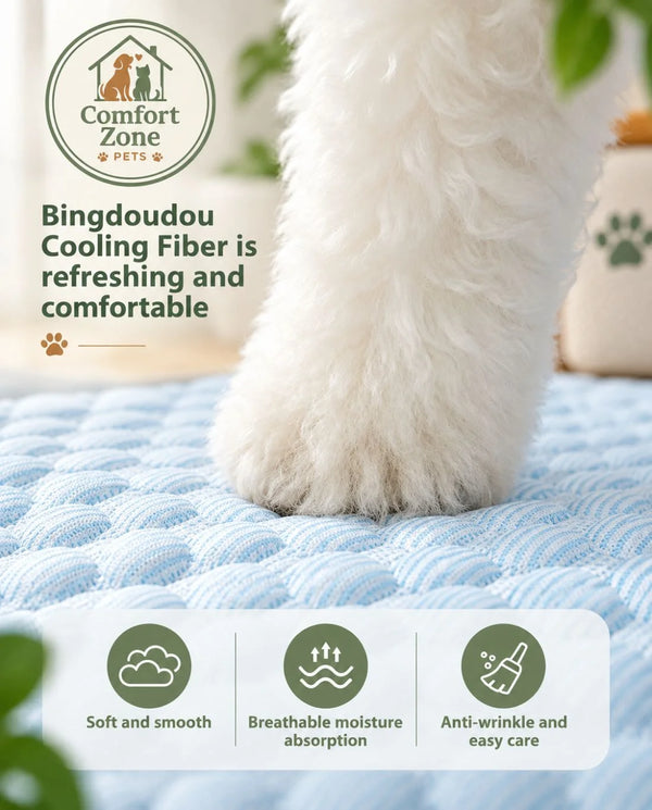 Dog Comfort & Beds
