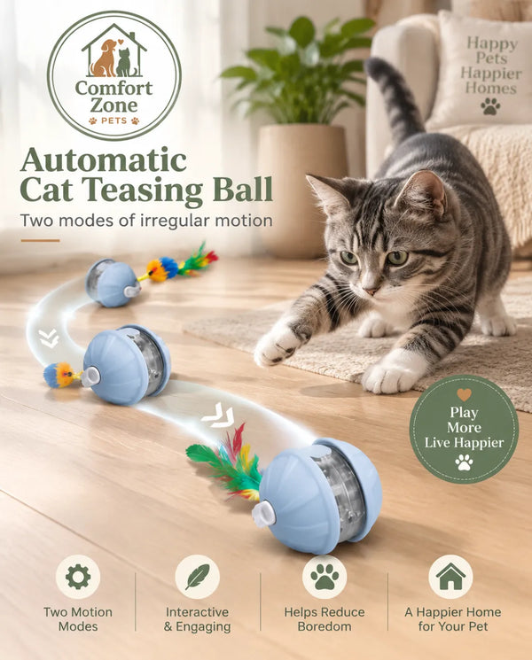 Cat Toys & Enrichment