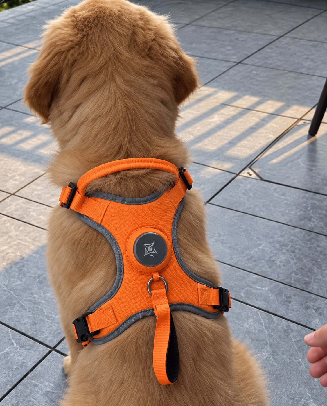 Retractable Dog Leash Harness | All-in-One & Reflective