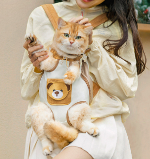 Woman carrying cat in bear-design front carrier bag with legs out